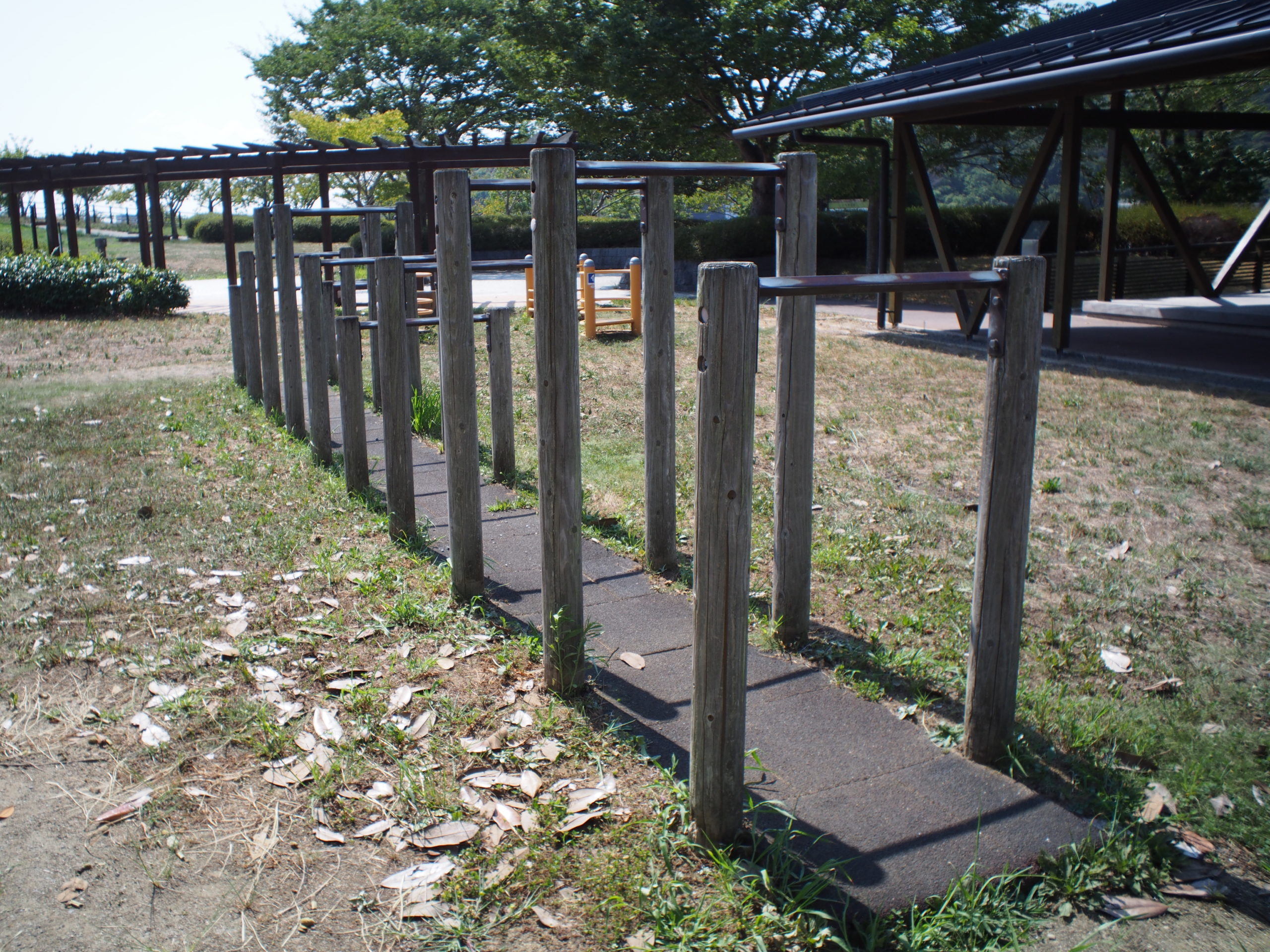 OLYMPUS E-PL5とBCL-1580